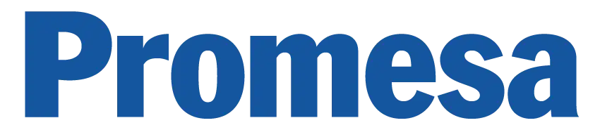 Home logo promesa original